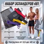 Набор резинок 4v1 PRO100FORLIFE, фитнес петли, эспандер ленты